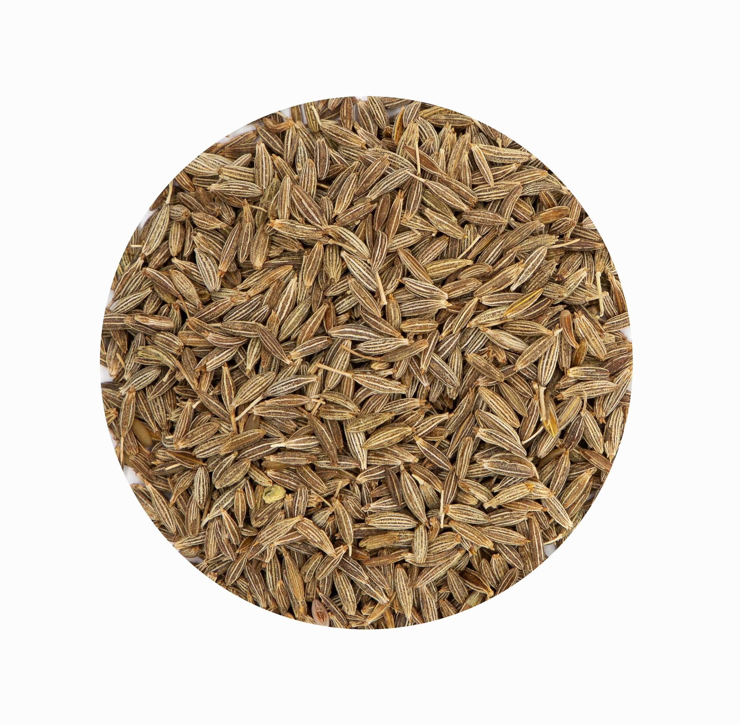 CUMIN Graines ( Maghreb )